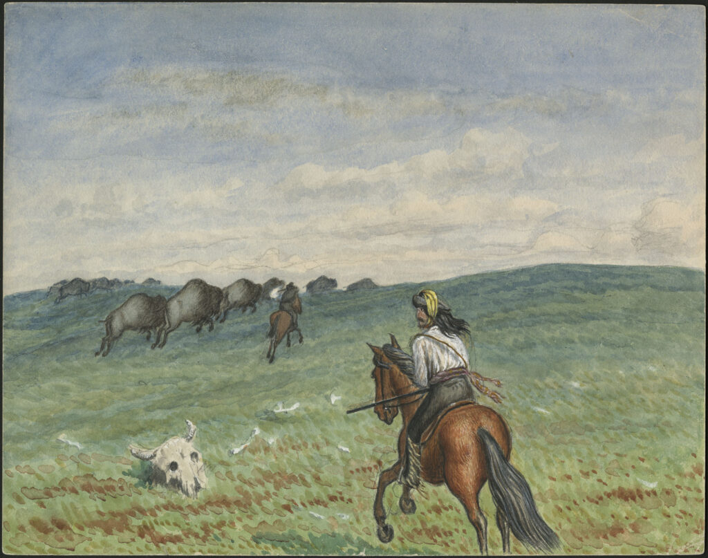 A painting of two men with guns on horseback riding across a prairie, pursuing a herd of buffalo. There is a buffalo skull in foreground.