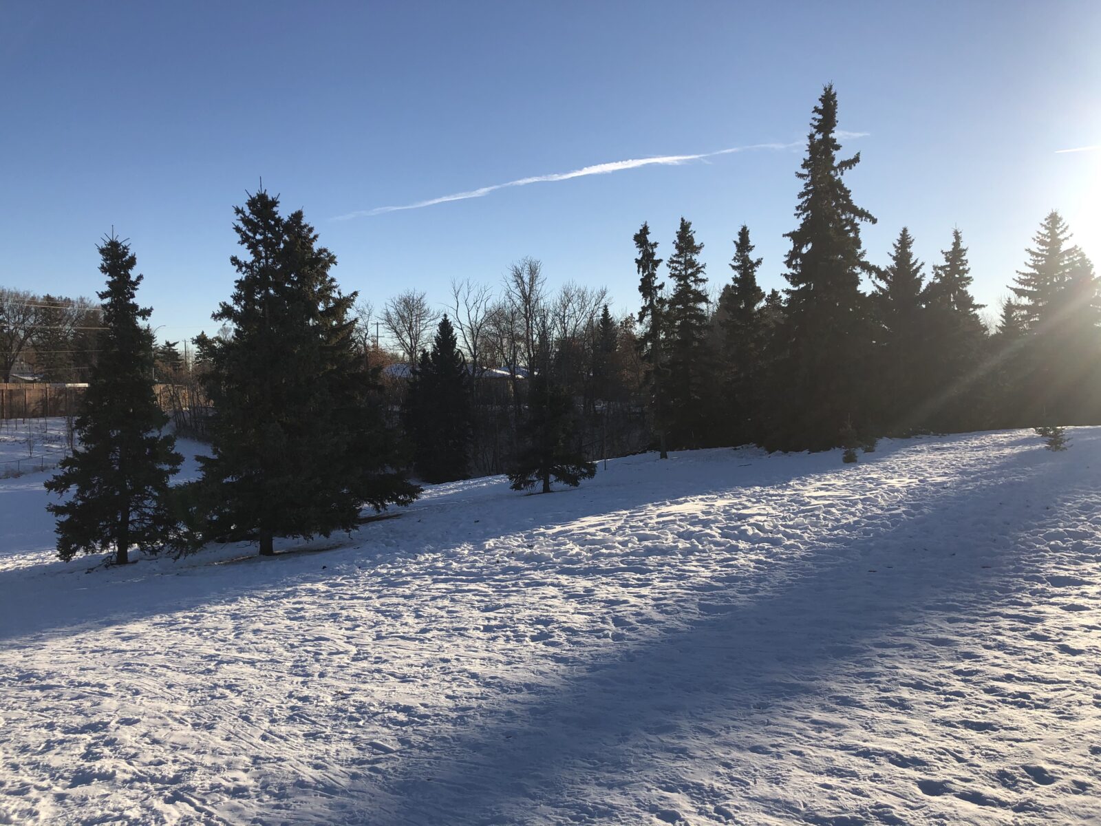 Forest Heights A Hidden Pocket of History Edmonton City as Museum Project ECAMP Forest Heights A Hidden Pocket of History Edmonton City as Museum Project ECAMP