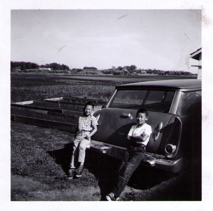 Author and brother, Namao market garden, 1961. Photo courtesy of author.